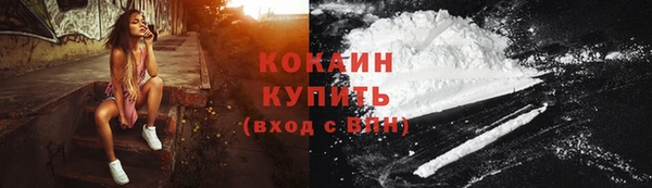 сатива Краснослободск
