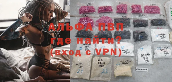 сатива Краснослободск